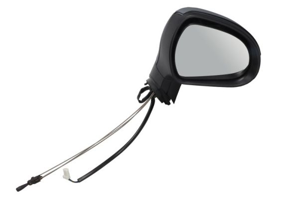 Exterior Mirror (5402-04-1115283P)