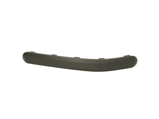 Trim/Protection Strip, bumper (5703-05-2576971P)