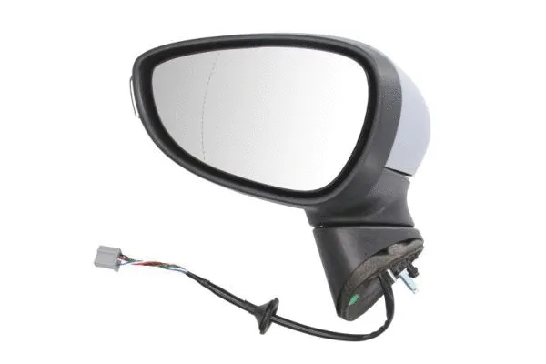 Exterior Mirror (5402-04-0304593P)