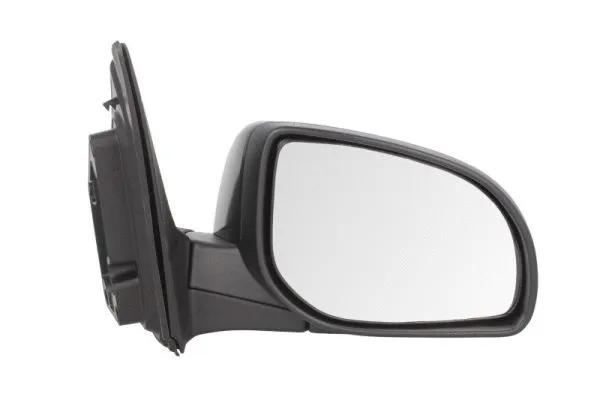 Exterior Mirror (5402-20-2001396P)