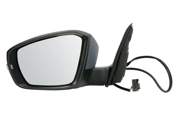 Exterior Mirror (5402-43-2002353P)