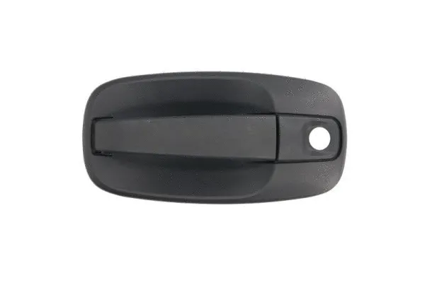 Exterior Door Handle (6010-09-041401P)