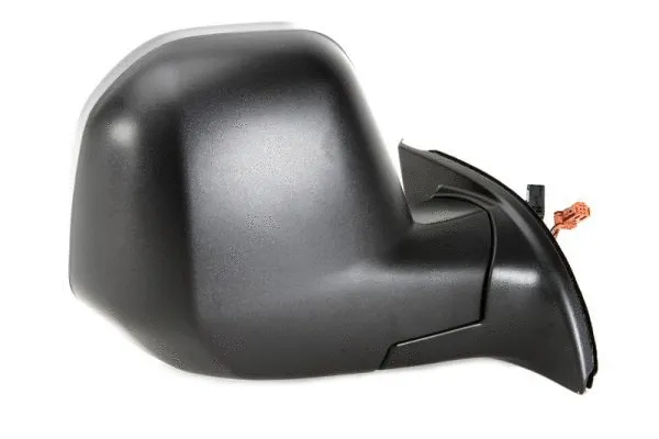Exterior Mirror (5402-04-9221998)