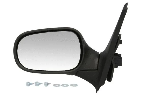 Exterior Mirror (5402-04-1125110P)