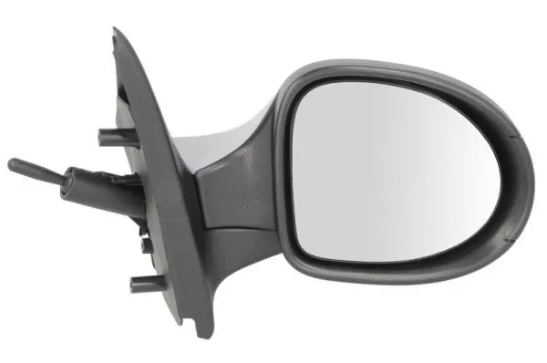 Exterior Mirror (5402-09-2002222P)