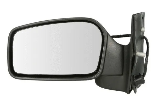 Exterior Mirror (5402-04-1139357)