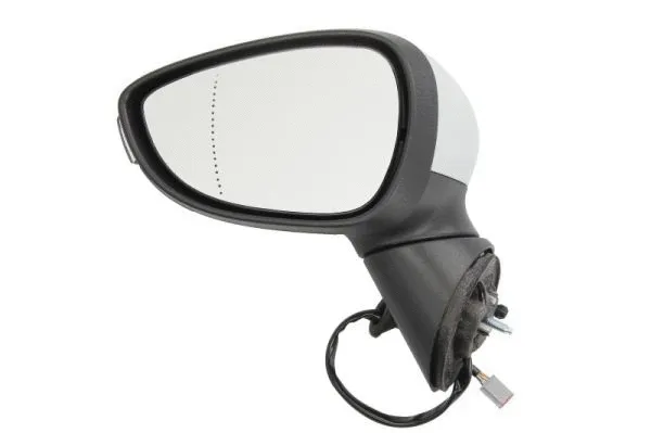 Exterior Mirror (5402-03-2001183P)