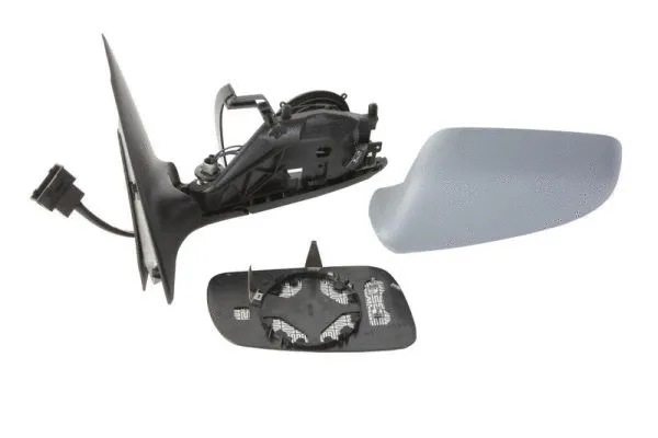 Exterior Mirror (5402-04-1139523P)