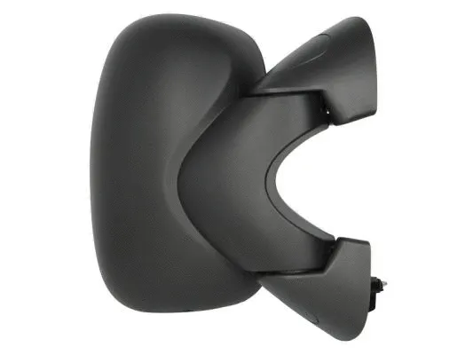 Exterior Mirror (5402-04-9292759P)