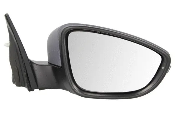 Exterior Mirror (5402-01-2002692P)
