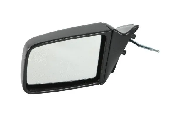 Exterior Mirror (5402-04-1112235P)