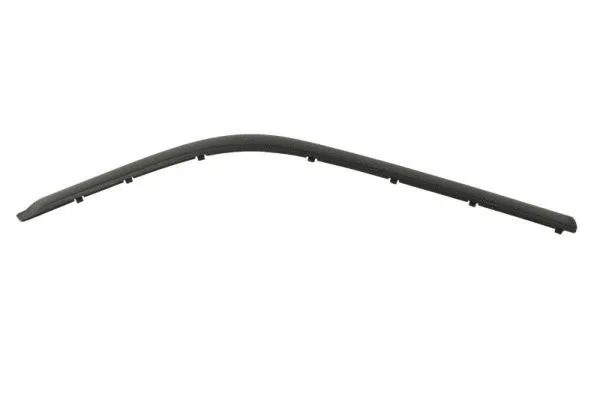 Trim/Protection Strip, bumper