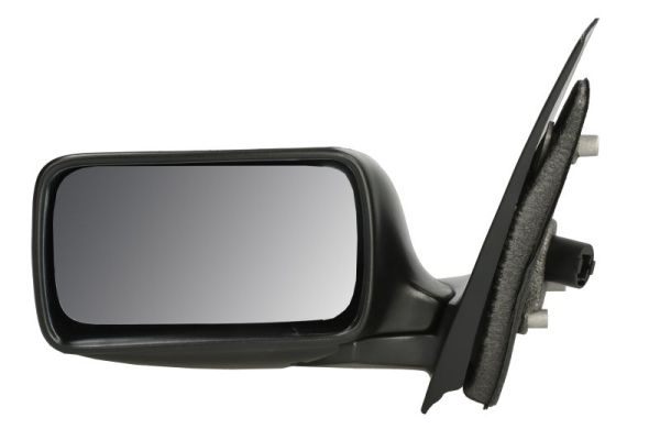 Exterior Mirror (5402-04-1125272)