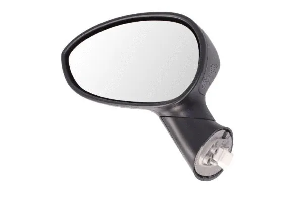 Exterior Mirror (5402-04-1127933)