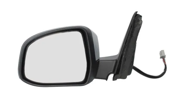 Exterior Mirror (5402-04-1129371)