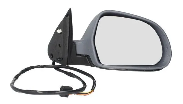 Exterior Mirror (5402-04-1121565P)