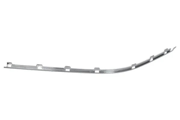 Trim/Protection Strip, bumper (5703-05-0065928P)