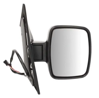 Exterior Mirror (5402-04-9221918)
