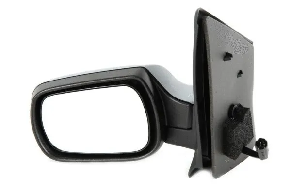 Exterior Mirror (5402-04-1139387)