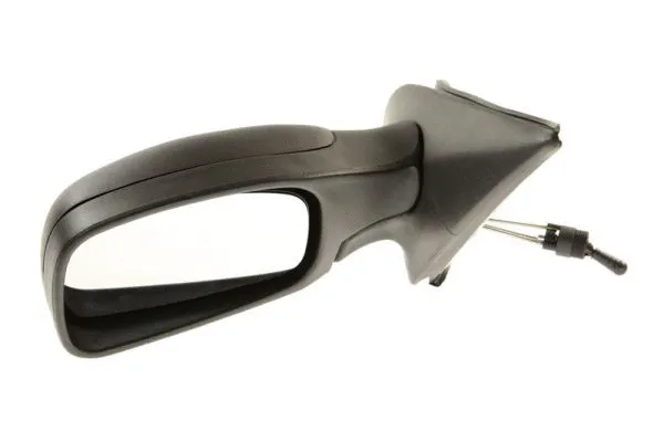 Exterior Mirror (5402-04-1112290P)