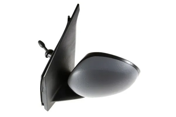 Exterior Mirror