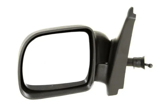 Exterior Mirror (5402-04-9212151P)