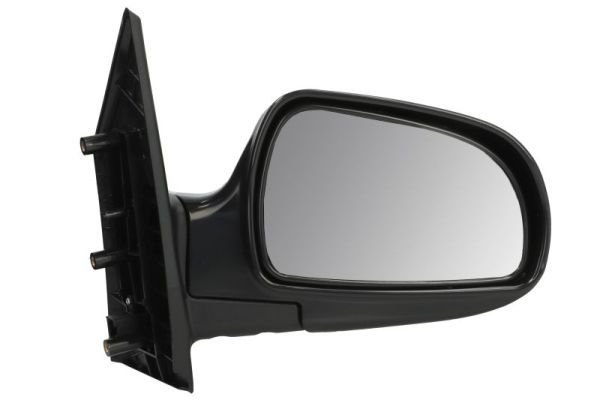 Exterior Mirror (5402-04-9221589)