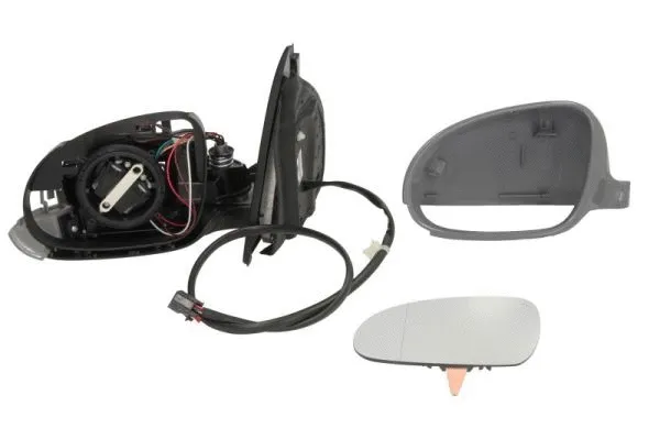 Exterior Mirror (5402-04-1129128P)