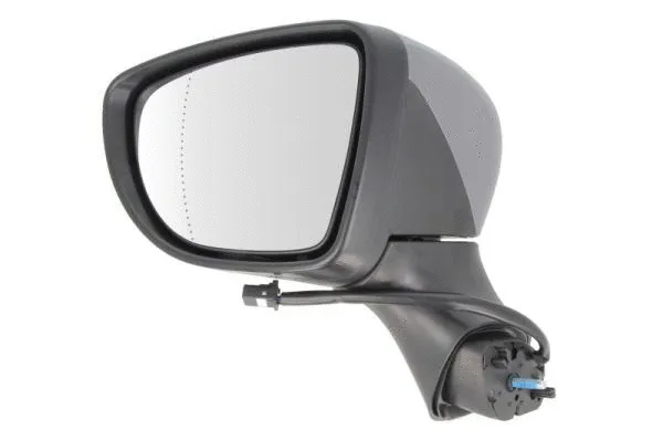 Exterior Mirror (5402-09-2002129P)