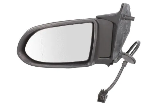 Exterior Mirror (5402-04-2002041P)