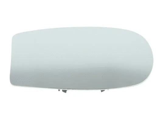 Mirror Glass, exterior mirror (6102-02-1233329P)