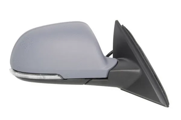 Exterior Mirror (5402-43-2002368P)