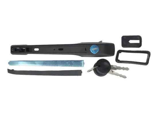 Exterior Door Handle (6010-01-030402P)