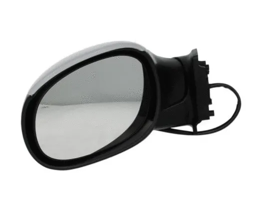 Exterior Mirror (5402-04-1139851)