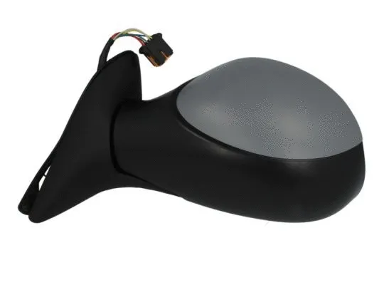 Exterior Mirror (5402-04-1121339P)