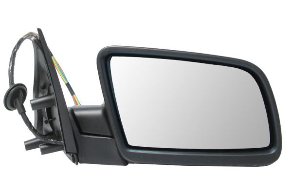 Exterior Mirror (5402-04-1132825)