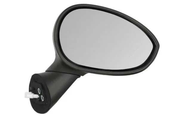 Exterior Mirror (5402-04-1121932P)