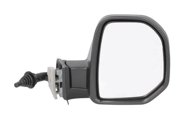 Exterior Mirror (5402-04-9212996P)