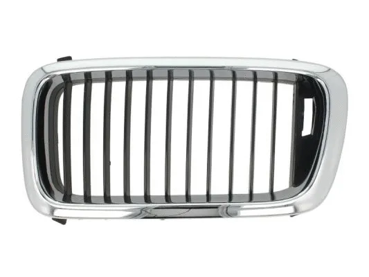 Radiator Grille (6502-07-0075991P)