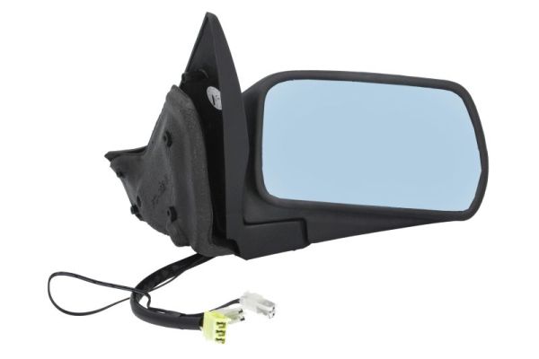 Exterior Mirror (5402-04-1131351)