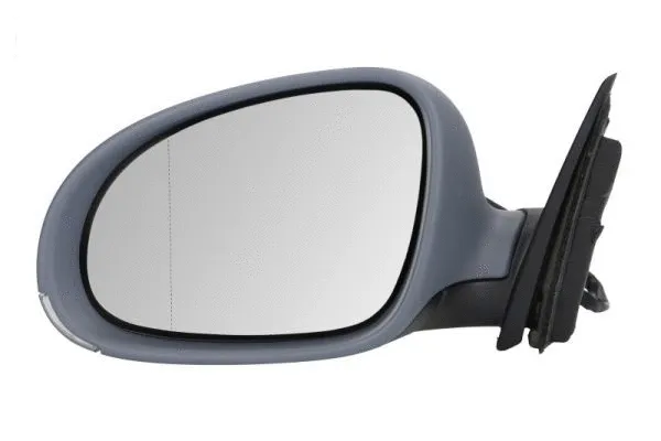 Exterior Mirror (5402-04-1139570P)