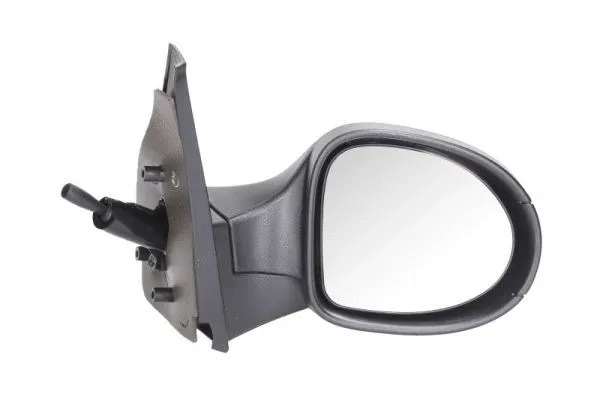 Exterior Mirror (5402-09-2002208P)