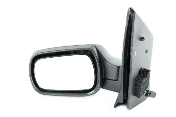 Exterior Mirror (5402-04-1125389)
