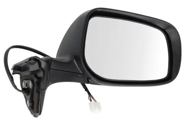 Exterior Mirror (5402-19-2002438P)