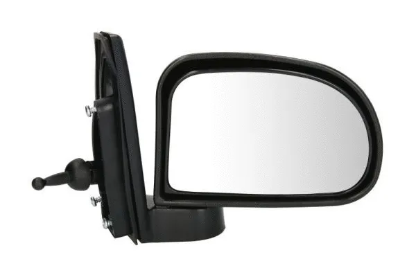 Exterior Mirror (5402-04-1115120P)