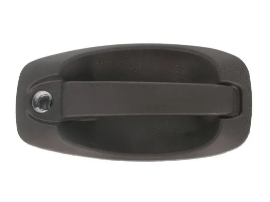 Exterior Door Handle (6010-07-043417P)