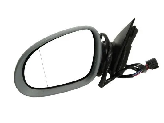Exterior Mirror (5402-04-1121118P)
