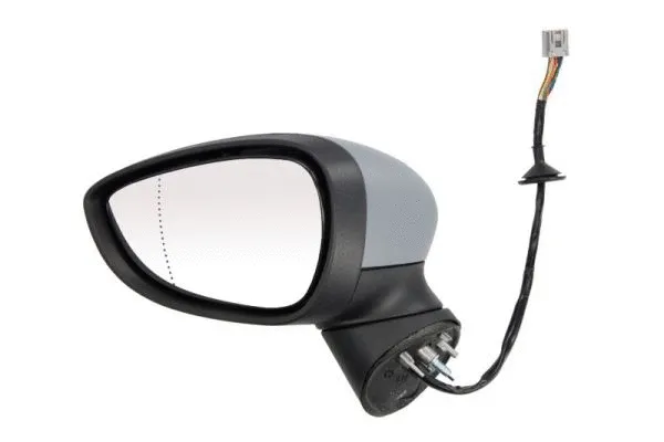 Exterior Mirror (5402-04-0304591P)
