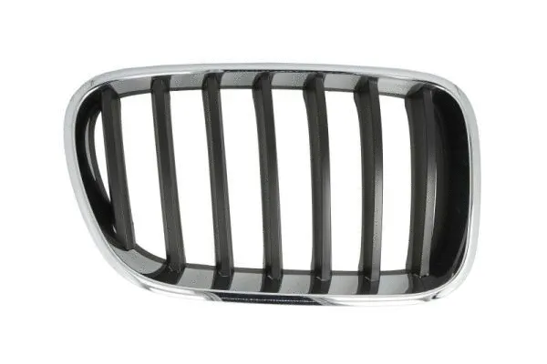 Radiator Grille (6502-07-00939980P)