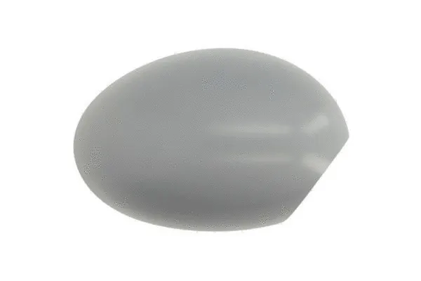 Housing, exterior mirror (6103-05-2001844P)